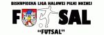 Biskupiecka Liga Halowej Piki NonejFutsal 2007/2008