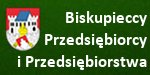 Biskupiecka Liga Halowej Piki NonejFutsal 2010/2011